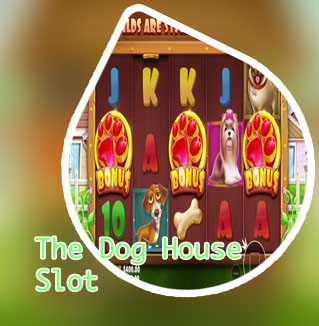 The dog house slot